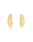 solid gold earrings stud
