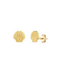 seashell earrings