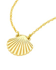 sea shell necklace