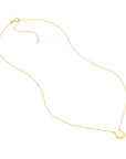 14k gold horseshoe necklace